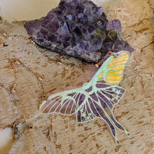 Load image into Gallery viewer, Iridescent Luna Moth Necklace
