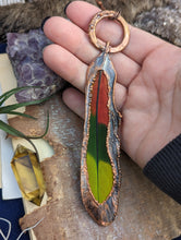 Load image into Gallery viewer, Copper Electroformed Sun Conure Feather Necklace