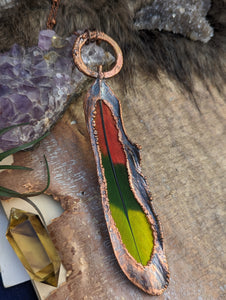 Copper Electroformed Sun Conure Feather Necklace