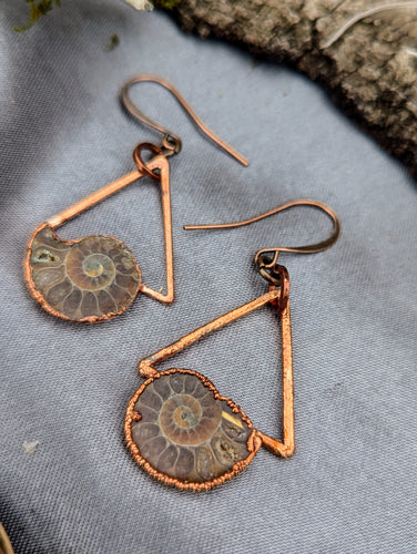 Copper Electroformed Ammonite Pair Earrings - Small Triangles