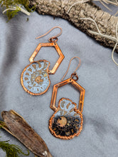 Load image into Gallery viewer, Copper Electroformed Ammonite Pair Earrings - Large Hexagons