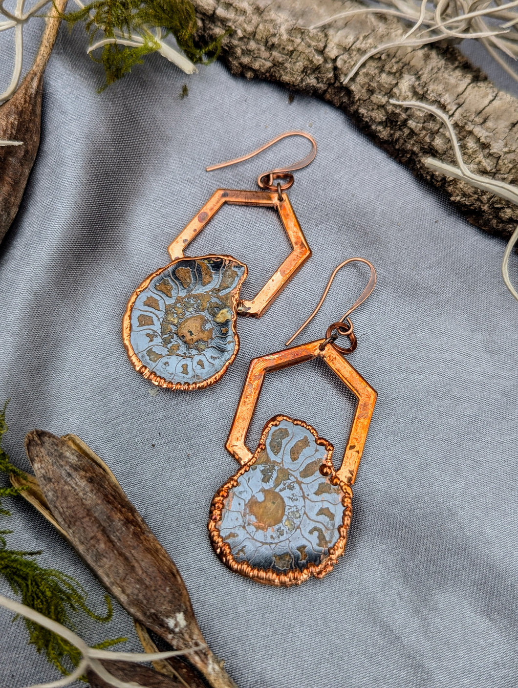 Copper Electroformed Ammonite Pair Earrings - Large Hexagons