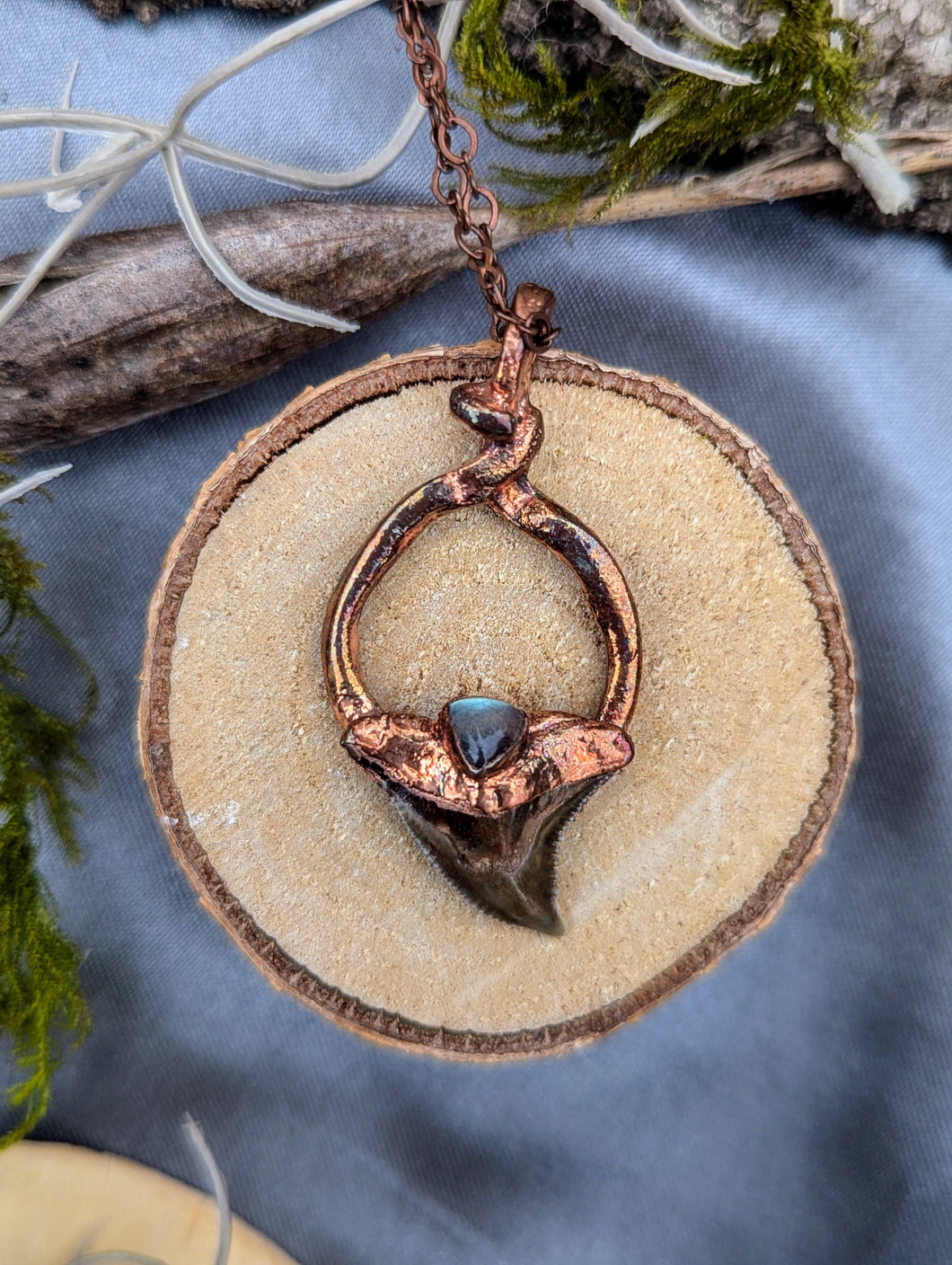 Electroformed Fossilized Shark Tooth Necklace with Labradorite