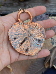 Copper Electroformed Sand Dollar Labradorite Star Necklace