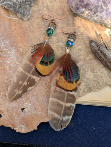 Teal and Brown Feather Earrings