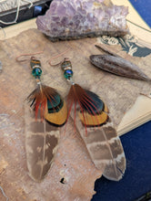 Load image into Gallery viewer, Teal and Brown Feather Earrings