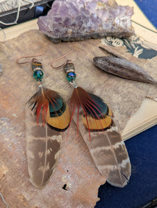 Teal and Brown Feather Earrings