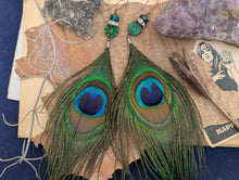 Load image into Gallery viewer, Peacock Feather Earrings 1
