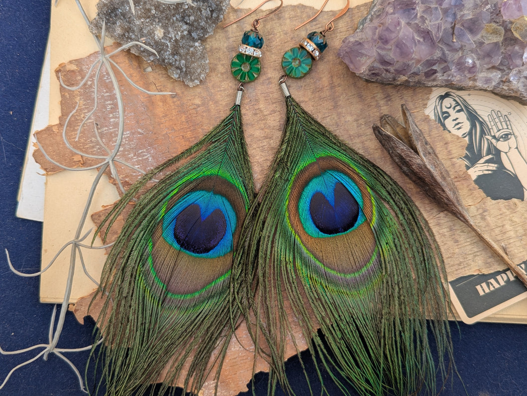 Peacock Feather Earrings 1