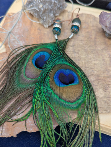 Peacock Feather Earrings 3