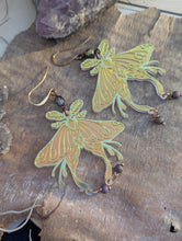 Load image into Gallery viewer, Iridescent Luna Moth Earrings