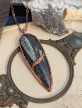 Load image into Gallery viewer, Copper Electroformed Orthoceras Fossil Necklace