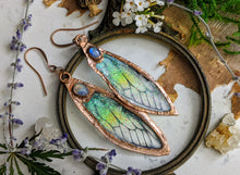Load image into Gallery viewer, Relic Fairy Wing Earrings - Resin and Copper Electroformed 3