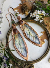 Load image into Gallery viewer, Relic Fairy Wing Earrings - Resin and Copper Electroformed 5