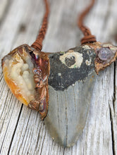Load image into Gallery viewer, Electroformed Megalodon Shark Tooth with Druzy and Amethyst - Minxes&#39; Trinkets