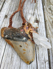 Load image into Gallery viewer, Electroformed Megalodon Shark Tooth with Quartz Clusters - Minxes&#39; Trinkets