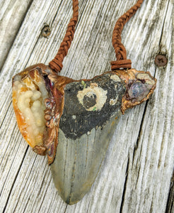 Electroformed Megalodon Shark Tooth with Druzy and Amethyst - Minxes' Trinkets