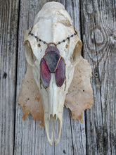 Load image into Gallery viewer, Electroformed Cicada-Winged Coffin Necklace - Dark - Minxes&#39; Trinkets