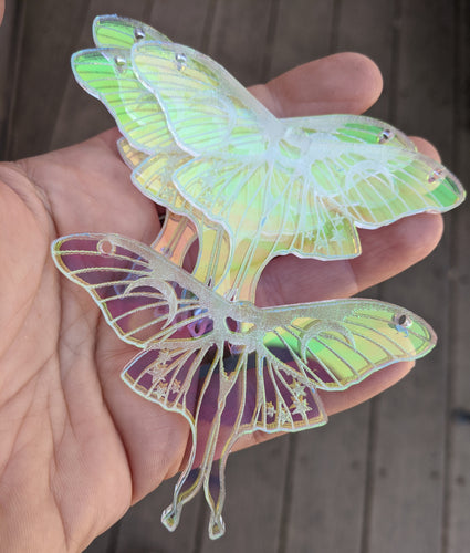 Luna Moth