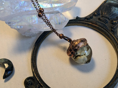 Botanical Acorn Necklace - Cornflower 2