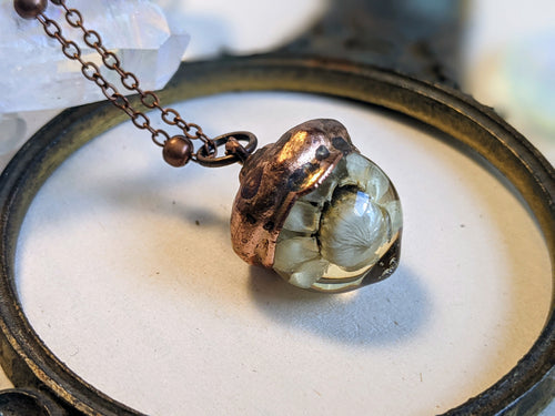 Botanical Acorn Necklace - Cornflower 1