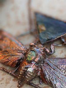 Copper Electroformed Giant Cicada - Faceted Labradorite
