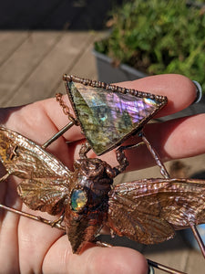 Copper Electroformed Giant Cicada - Faceted Labradorite